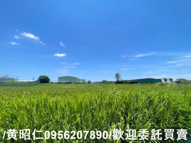 台南安定農地-5