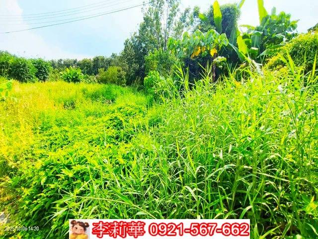 台南白河農地-10