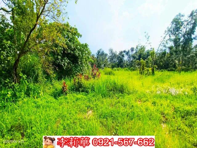 台南白河農地-8