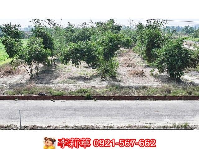 台南西港農地-0