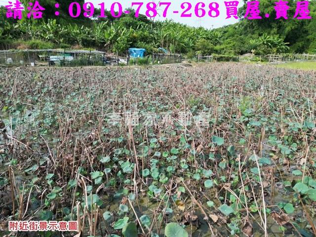 台南官田農地-8