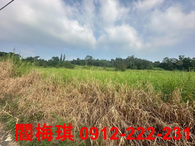台南新化農地-2