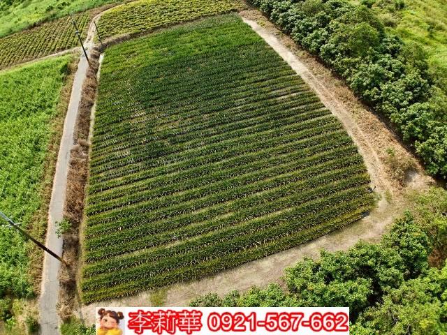 台南歸仁農地-9