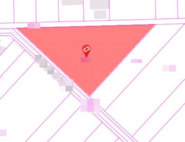 台南永康農地-10