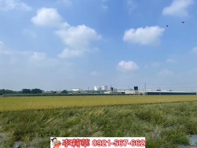 柳營農地-10