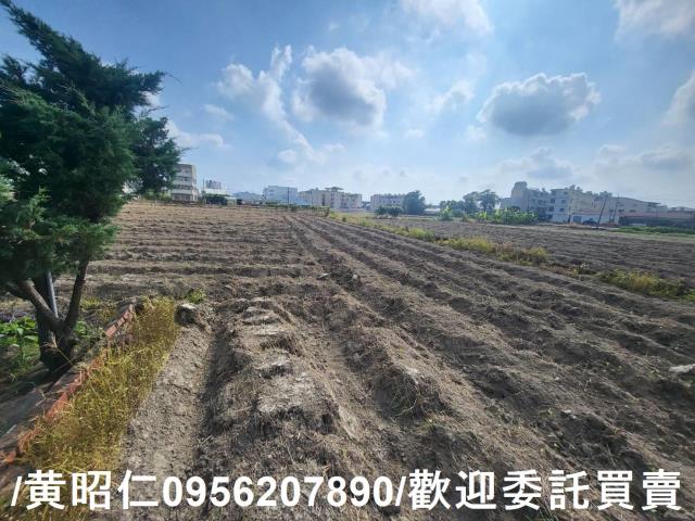 台南新市農地-0