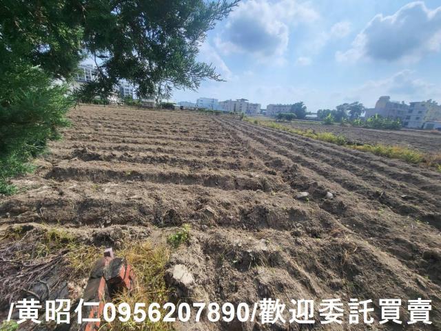 台南新市農地-2