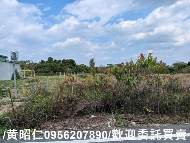 台南大內農地-0