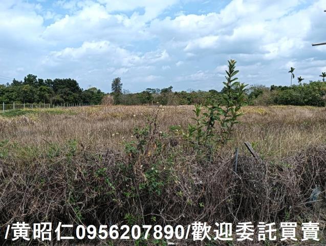 台南大內農地-1