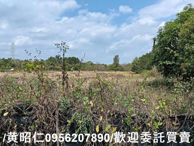 台南大內農地-2