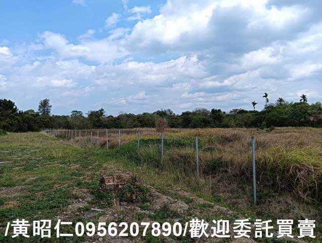 台南大內農地-5