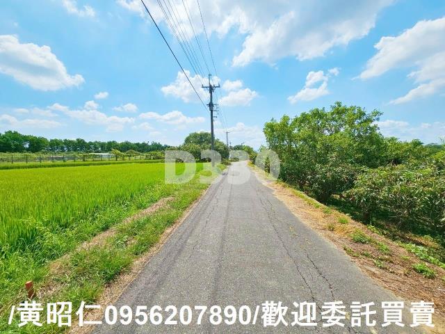 台南官田農地-1