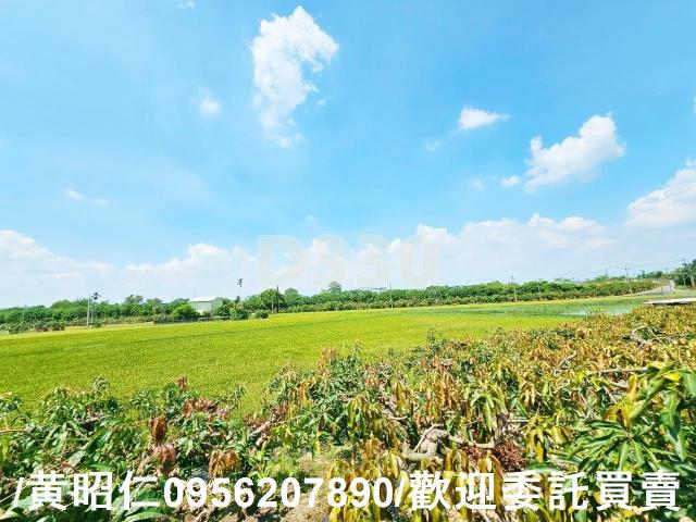 台南官田農地-3