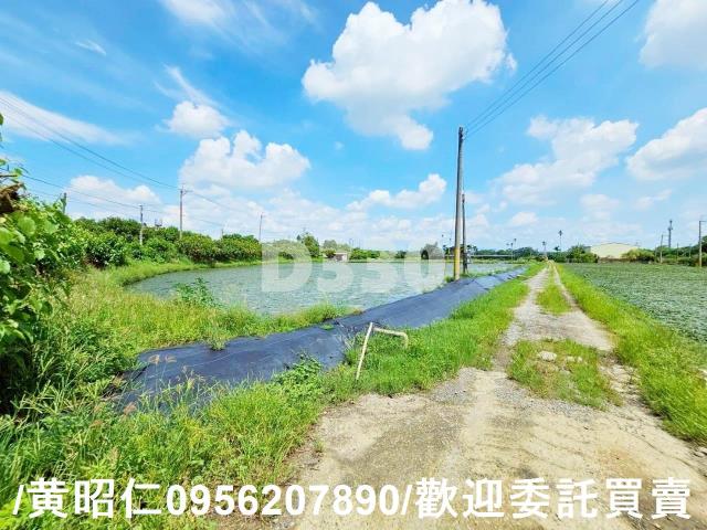 台南官田農地-5