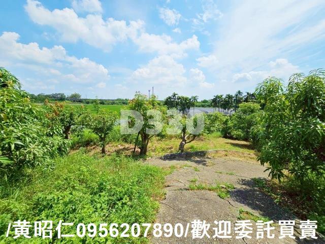 台南官田農地-7