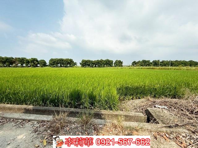 新營農地-4