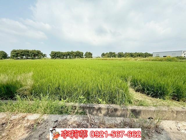 新營農地-7