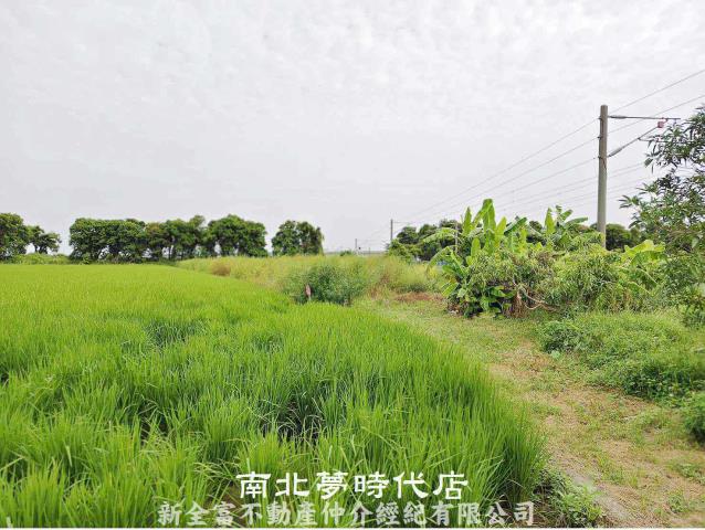 新營農地-1