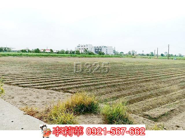 台南佳里農地-11