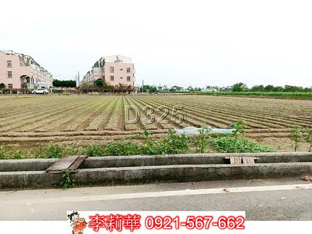 台南佳里農地-7