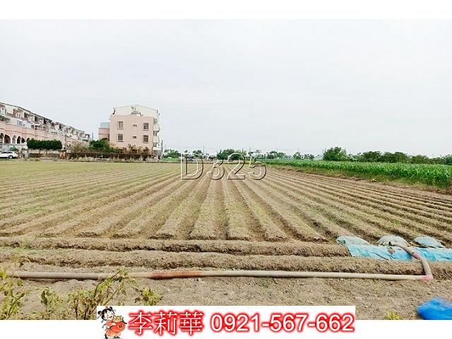 台南佳里農地-8