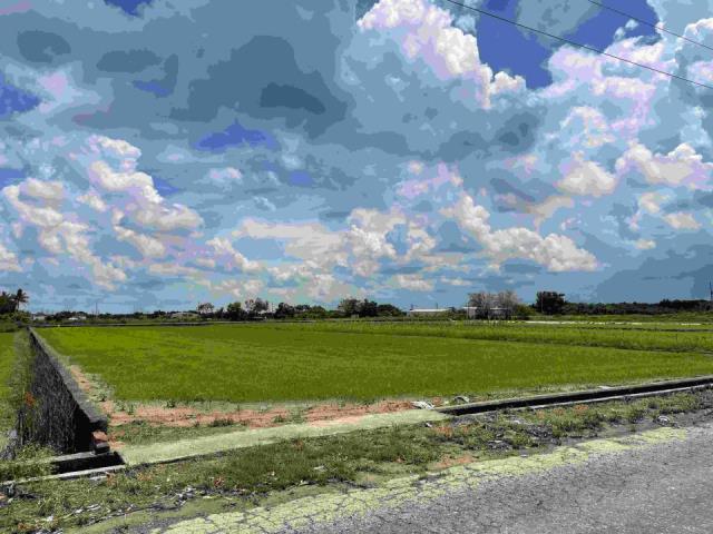 台南新化農地-1