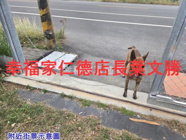 台南佳里農地-6