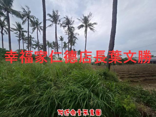 台南仁德農地-10