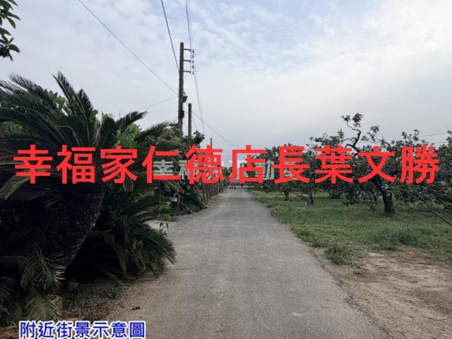 麻豆農地-3
