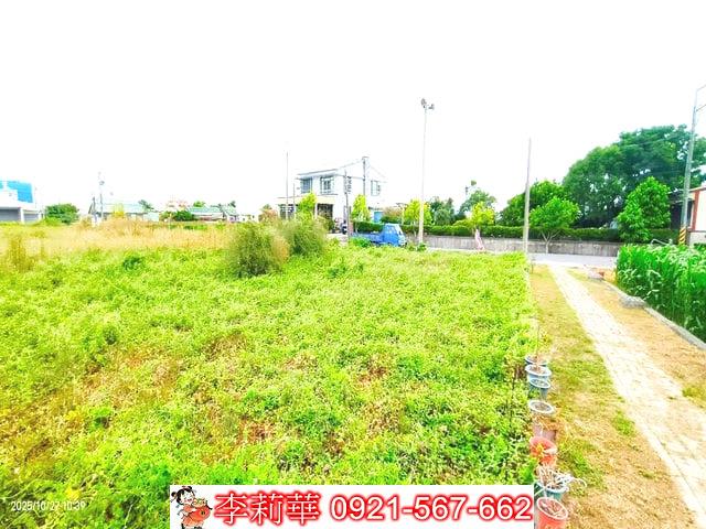 西港農地-7