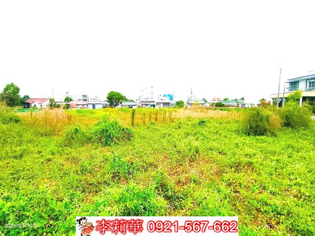 西港農地-8