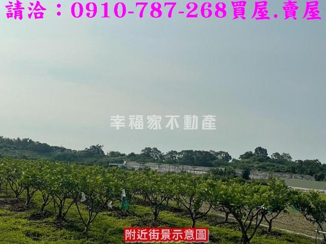 台南農地-4