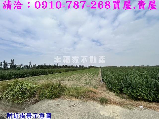 台南農地-4