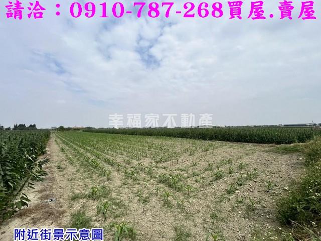 台南農地-8