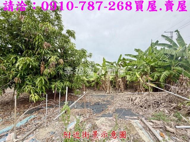 台南農地-7