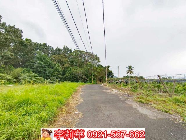 台南楠西農地-0