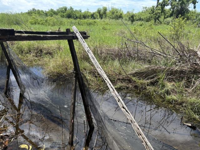 台南安南農地-0