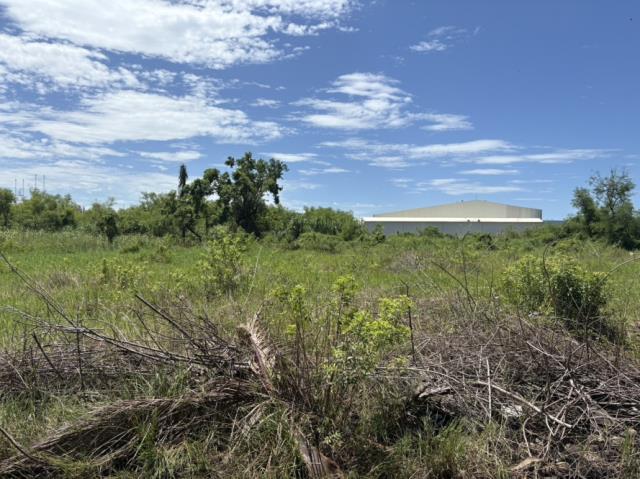 台南安南農地-2