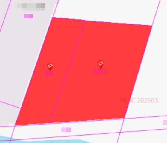 台南安南農地-4