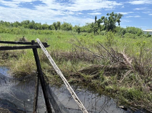 台南安南農地-5