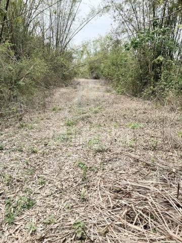 台南龍崎農地-0