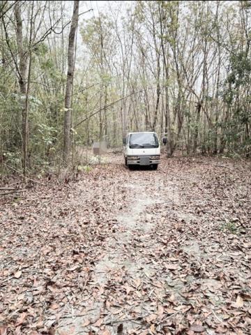 台南龍崎農地-2