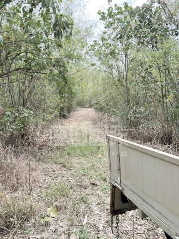 台南龍崎農地-3