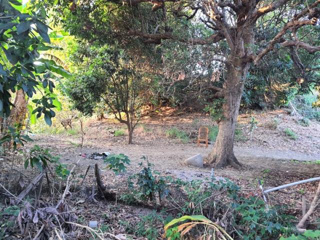 台南佳里農地-10