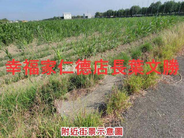 台南麻豆農地-11