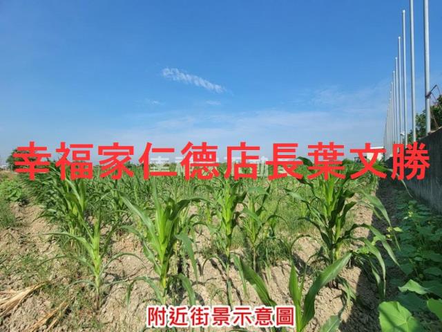 台南麻豆農地-5