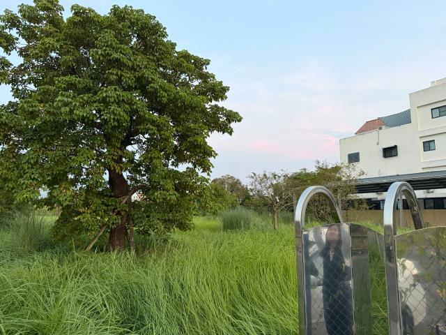 台南關廟農地-7