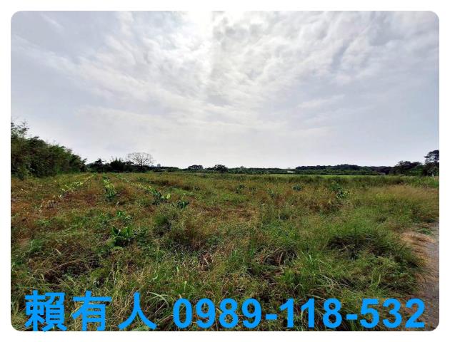 台南農地-5