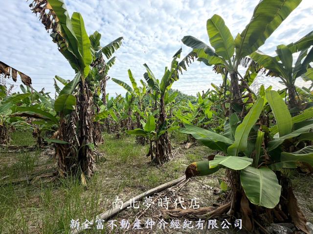 台南左鎮農地-9