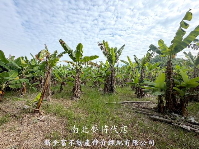 台南左鎮農地-1